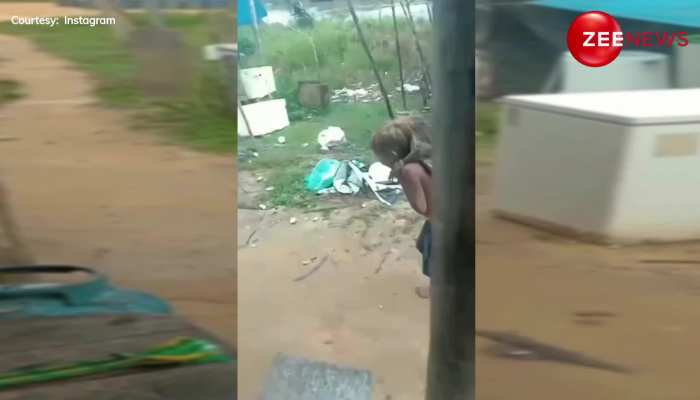 Viral Video: मगरमच्छ को अपनी पीठ पर लेकर घूम रहा है छोटा बच्चा, वीडियो देख सन्न रह