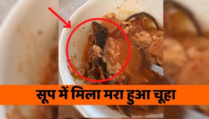 Viral Video : रेस्टोरेंट के सूप में मिला मरा हुआ चूहा, वायरल वीडियो देख उड़े लोगों के होश