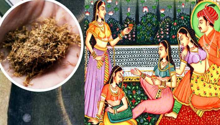 Mughal Secret: कामोत्तेजना बढ़ाने के लिए ये खाते थे मुगल, ऐसा होता था शाही मेन्यू
