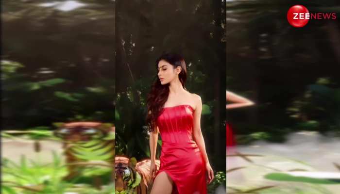 एक्ट्रेस Mouni Roy ने टाइट स्लिट कट ड्रेस पहन दिखाए ऐसे नखरे, देख लोगों की निगाहें टिकीं एक ही जगह
