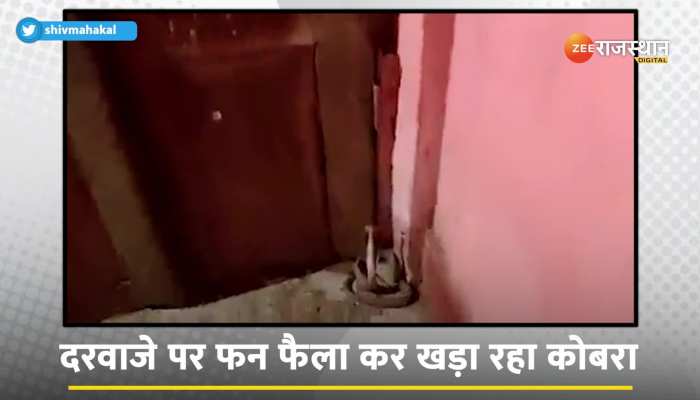Sofia Ansari ने एक बार फिर करी शर्म की सारी हदें पार, अपने हुस्न से मचाई लोगों के दिलों में आफत