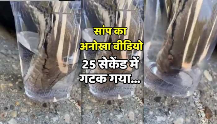 Viral Video : 25 सेकेंड में सांप ने खाली कर दिया आधा गिलास, लोग बोले पहली बार देखा