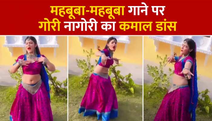   Viral Video:  हरियाणवी डांसर गोरी नागोरी ने किया कमर तोड़ डांस