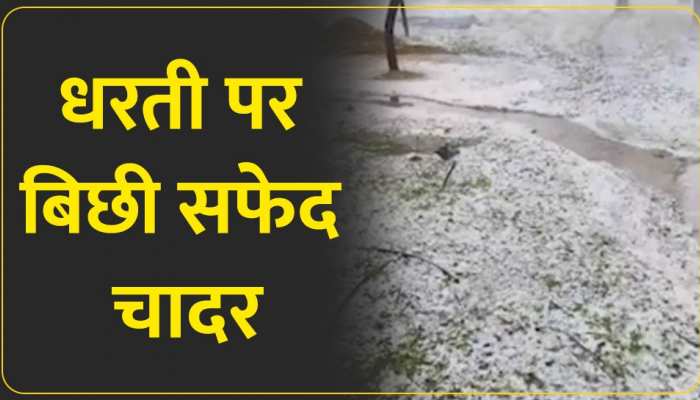 हरियाणा के इस इलाके में हुई भयंकर ओलावृष्टि, धरती पर बिछी सफेद चादर, देखें वीडियो...