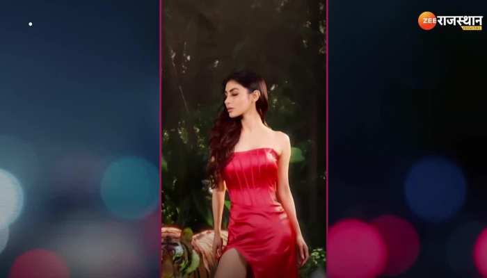 Mouni Roy : टाइगर के साथ मौनी रॉय, लोग बोले-बाघ और 'नागिन' एक साथ !