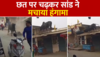 Bull Viral Video : छत पर चढ़कर सांड ने मचाया हंगामा, वीडियो वायरल