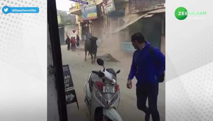 Viral Video: बाजार में दुकानों की छत से मारी सांड ने छलांग, मचा हड़कंप