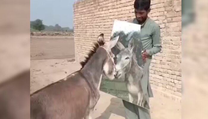 Viral Video : गधे ने जब आईने में देखी अपनी शक्ल, तो खुशी से लगा चिल्लाने