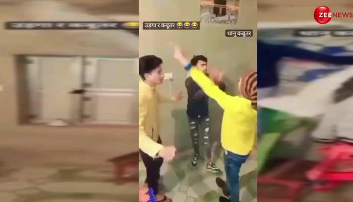Viral: दोस्तों के साथ मस्ती-मस्ती में बन बैठा कबूतर फिर हुआ कुछ ऐसा, जिसको देख नहीं रुकेगी हंसी