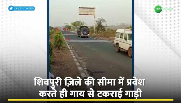 Atiq Ahmad: अतीक अहमद की गाड़ी से टकराकर हुई गाय की मौत, पलटने से बची पुलिस की वैन!