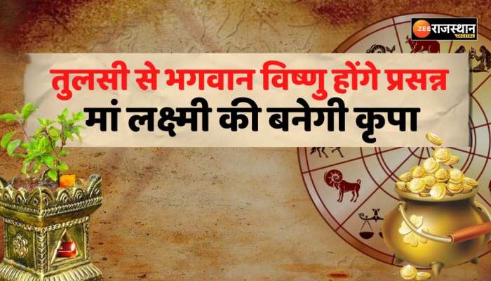 Vastu tips : तुलसी की सूखी पत्तियों से भगवान विष्णु होंगे प्रसन्न, मां लक्ष्मी की बनी रहेगी कृपा