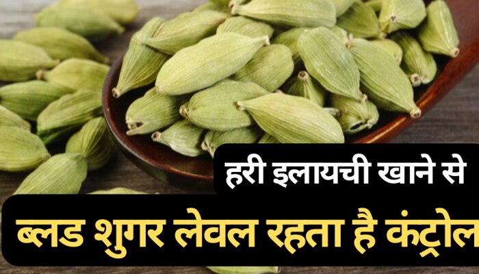 हरी इलायची खाने से ब्लड शुगर लेवल रहता है कंट्रोल, बॉडी को मिलते हैं ये लाभ