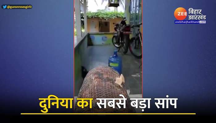 Snake Viral Video : गजब का डरावना है ये सांप, देखकर कांप उठेगी रूह