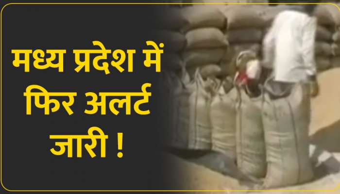 Weather Update: मध्य प्रदेश मौसम के हाल से किसान हुए बेहाल, मौसम विभाग ने बारिश की चेतावनी दी