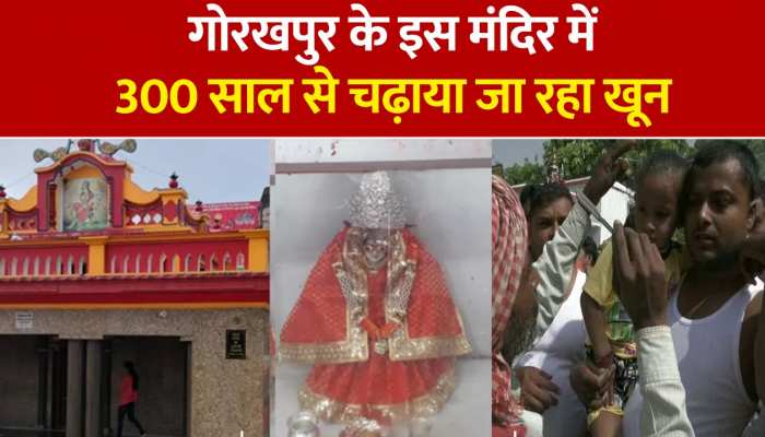 Gorakhpur Temple: यूपी के इस मंदिर में भक्त चढ़ाते हैं माता को अपना खून, 300 साल पुरानी है परंपरा