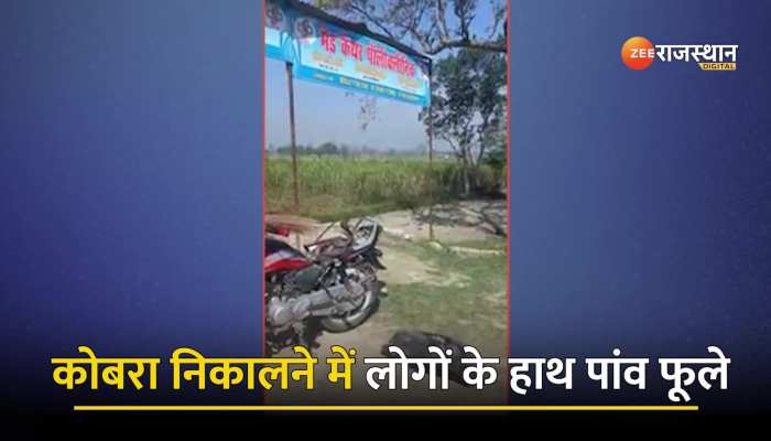 Cobra Video : बाइक में छिपकर बैठा था किंग कोबरा, गद्दी हटाते ही गुस्से में आए नागराज