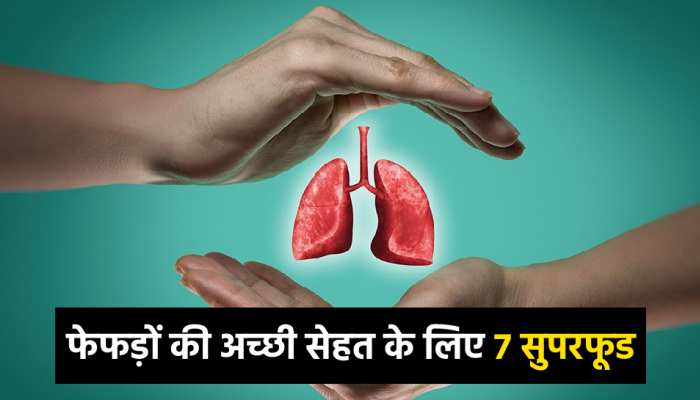 Lungs Health: फेफड़ों की सेहत को बूस्ट करते हैं ये 7 Foods,आज से शुरू कर दें खाना
