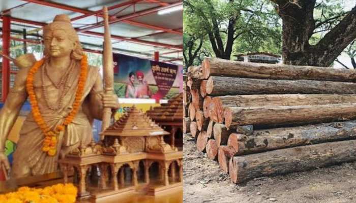 राम मंदिर के मुख्यद्वार के लिए इस जंगल से आ रही हैं विशेष लकड़ियां, बेहद खास है वजह