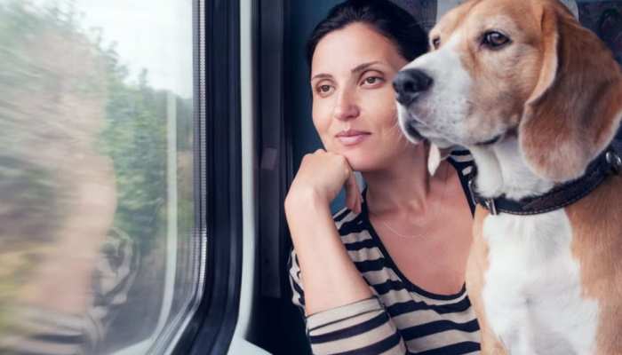 क्या ट्रेन में पालतू डॉगी को साथ ले जा सकते हैं? बहुत काम के हैं रेलवे के ये नियम