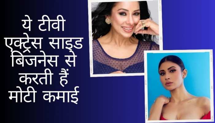 ये टीवी एक्ट्रेसेस साइड बिजनेस से करती हैं मोटी कमाई, तीसरी वाली का है ब्यूटी ब्रांड