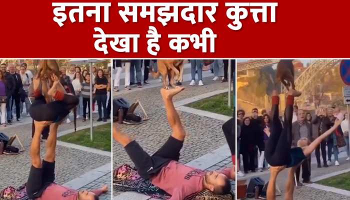 कुत्ते की लड़की के साथ मजेदार स्ट्रीट परफॉर्मेंस देख लोग हुए दीवाने, Watch Video