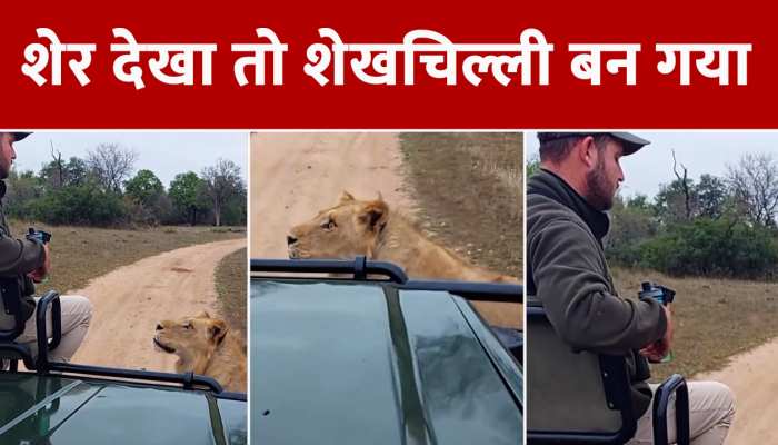 युवक को देखकर शेर को सांप सूंघ गया, वायरल हुआ Video