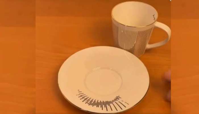 Optical Illusion : कप-प्लेट में छिपकर बैठी है नन्ही चिड़िया, उड़ने से पहले 10 सेकेंड में खोज लें