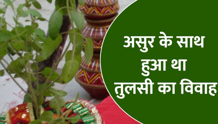 Tulsi Vivah : पहले इस दानव से ब्याही गई थी तुलसी, फिर हुआ था भगवान विष्णु संग विवाह