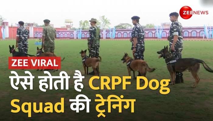 कुछ इस तरह CRPF Dog Squad को दी जाती है ट्रेनिंग