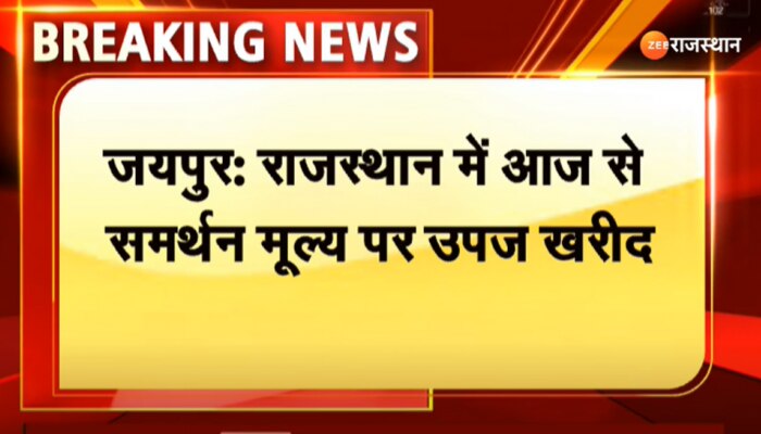 Rajasthan news : राजस्थान में किसानों के लिए खुशखबरी, सरसो और चने की MSP पर खरीद शुरू, देखिए ये वीडियो