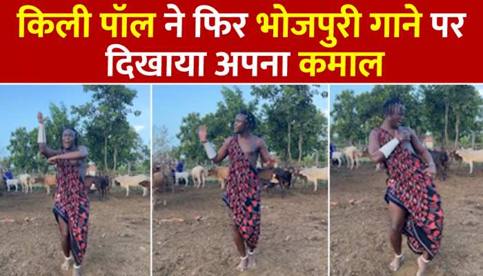 Viral Video: तंजानिया में भोजपुरी गानों का जलवा! सोशल मीडिया स्टार Kili paul ने 'हमार जिला सीधा ठोकेला' गाने पर लगाए जोरदार ठुमके