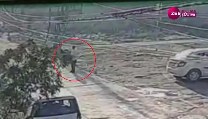 धर्मनगरी कुरुक्षेत्र में शख्स ने किया अधर्म, कुत्ते को गोली मारकर उतारा मौत के घाट, दर्दनाक वीडियो हुआ वायरल