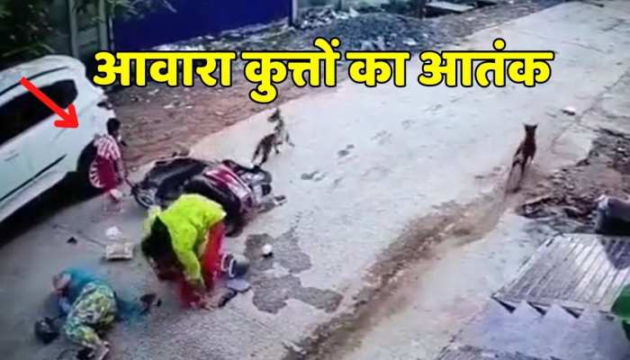 Viral video आवारा कुत्तों ने दौड़ाया तो महिला ने कार से भिड़ा दी स्कूटी,भयंकर हादसा 