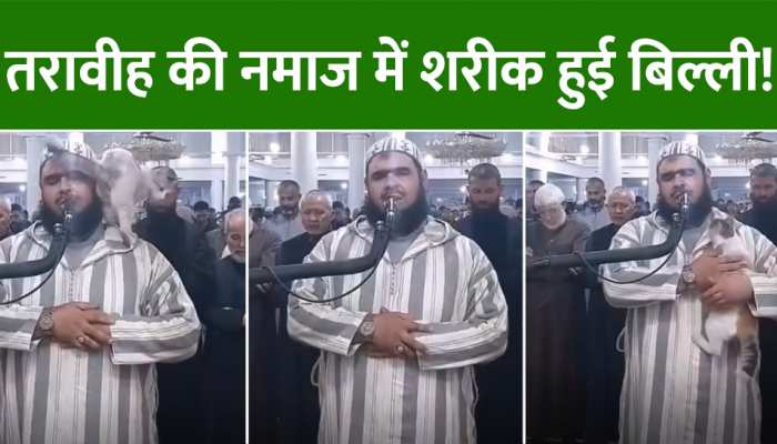  Ramadan:रमजान में नमाज के वक्त इमाम पर चढ़ी बिल्ली, कंधे पर बैठकर चूमा इमाम का गाल!