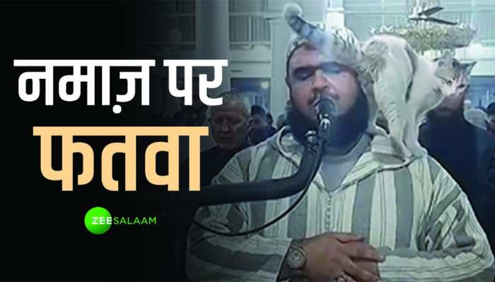 Cat Jumped on Imam: बिल्ली के चाटने से इमाम साहब की नमाज़ और वजू टूट गई? आ गया फतवा