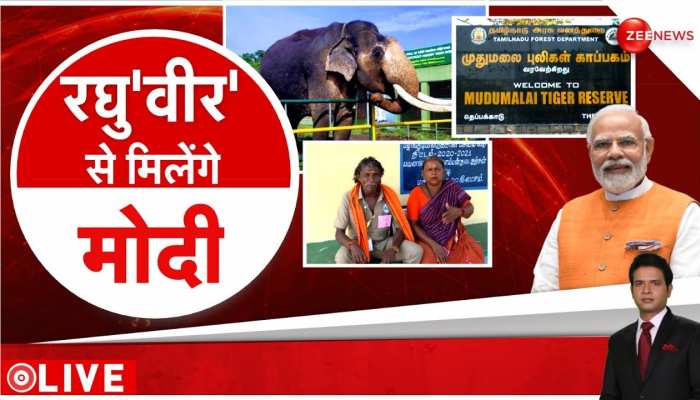 The Elephant Whisperers: बोमन और बेली से मिलेंगे पीएम मोदी, दुनिया देखेगी