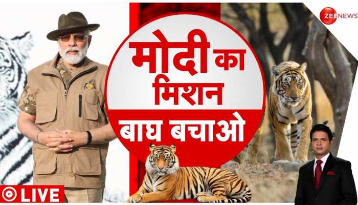 Deshhit: अमृतकाल का 'प्रोजेक्ट टाइगर', देश में बढ़ गई बाघों की संख्या 