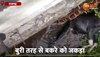 Snake Shocking Video:: अजगर ने बकरे को बुरी तरह से जकड़ा, वीडियो देख रौंगटे हो जाएंग