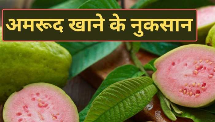 Guava Side Effects: हद से ज्यादा अमरूद खाना खतरनाक, इन लोगों की बिगड़ सकती है तबीयत