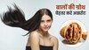 Hair Growth Oil: चाहिए मजबूत और घने बाल, तो घर पर अखरोट से बनाएं बेस्ट हेयर ग्रोथ ऑयल