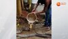 King Cobra Bathing: हर-हर गंगे करते किंग कोबरा का Video Viral, गर्मियों में ऐसे लिया पानी के मजे