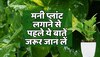 Vastu Tips : घर या ऑफिस में मनी प्लांट लगाने से पहले ये बातें जरूर जान लें,