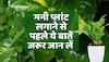 Vastu Tips : घर या ऑफिस में मनी प्लांट लगाने से पहले ये बातें जरूर जान लें,