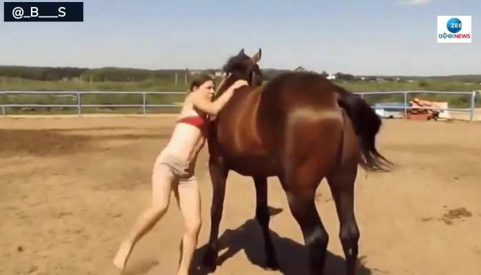 Horse Helps Girl Who Is Struggling To Get On