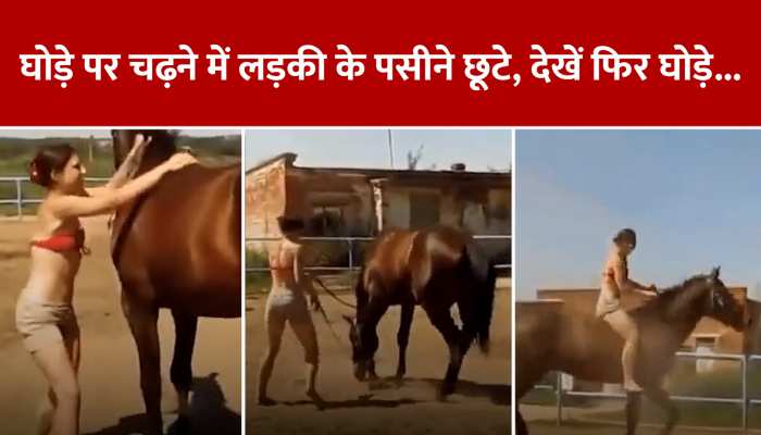 Viral Video: घोड़े पर चढ़ने में छूटे लड़की के पसीने,  फिर घोड़े ने किया ऐसा