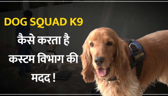 Dog Squad K9 ऐसे चुटकियों में करता है कस्टम विभाग की मदद? 