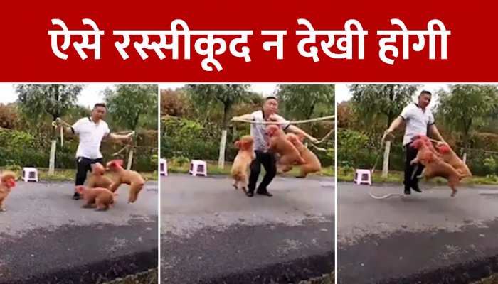 कुत्तों ने मालिक को दिखाई जंपिंग तो हर कोई वाह वाह कर उठा, VIDEO VIRAL