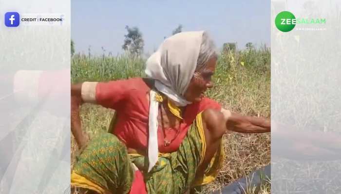 VIDEO: दादी ने खेत में बैठकर गाया बेहद रोमांटिक गाना, आवाज सुकर कह उठेंगे वाह