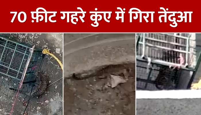 Viral Video: 70 फ़ीट गहरे कुंए में गिरा तेंदुआ, आवाज सुन लोग हो गए हैरान