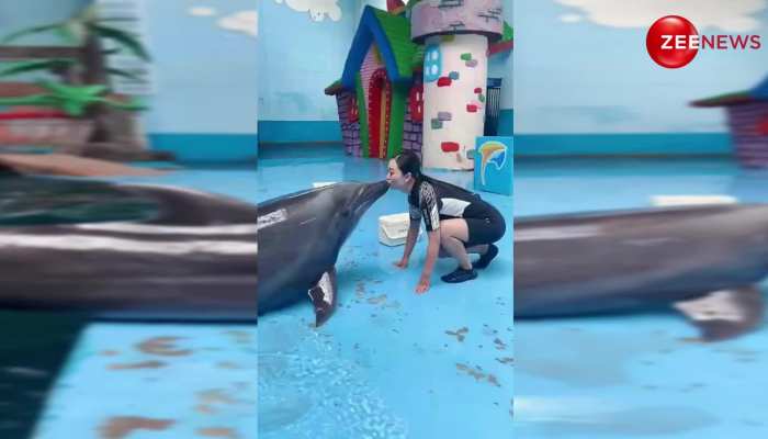 Cute Dolphin viral video: अपनी ट्रेनर को किस करने के लिए पानी से बाहर आ गई डॉलफिन, वीडियो देख लोग बोले- सो क्यूट 